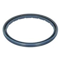 BPW Hub Seal suit ECO H91 / H10 / R10 0256645800