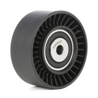 Volkswagen Amarok Idler Pulley