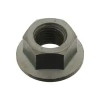 DAF Genuine Flange Nut 1669590