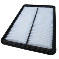 Genuine Hyundai Air Filter Santa Fe 2012 to 2015