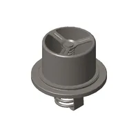 Cummins Thermostat  4318947