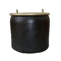 BPW D36 Complete Air Bag Assembly 0542943690