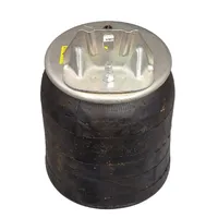 Hendrickson Airbag Suits Intraax AAT250 98734-094