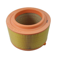Ford Ranger PX MKII 2011 Air Filter