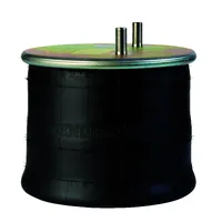 HENDRICKSON AIR SPRING INTRAAX AAT250 C-20901