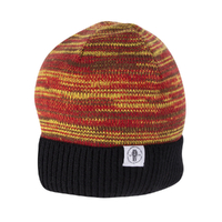 Kenworth Beanie Marle C-KEN899