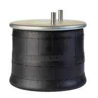 Hendrickson Air Spring suit Intraax AA230, AA250, Maxitraax S-21800