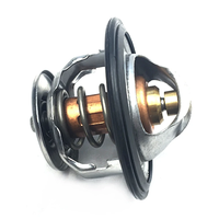 Hino Thermostat Kit S1632E9110