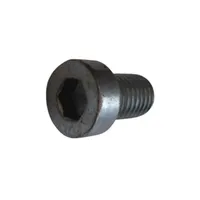 JOST SOCKET HEAD BOLT SK2121-07