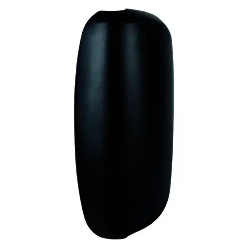 DAF Main Mirror Cover 1644325
