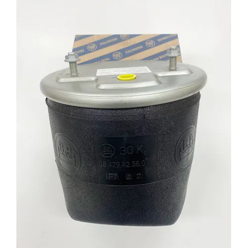 BPW D30K Complete Air Bag Assembly 0542943650