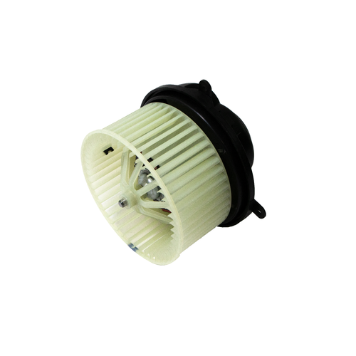 TRP Blower Motor 12V Equivalent to OEM 25189003 F31-TP-1000