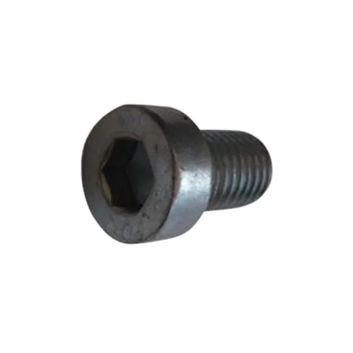 JOST SOCKET HEAD BOLT SK2121-07